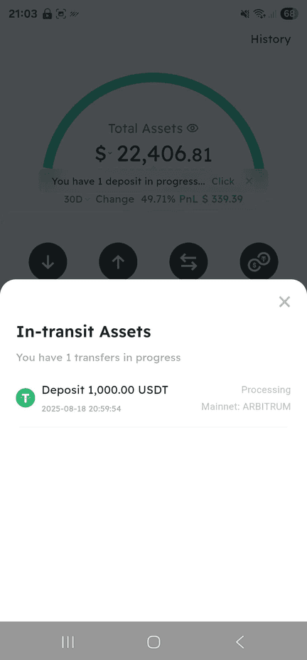 BIT showing deposit in transit and confirmation email